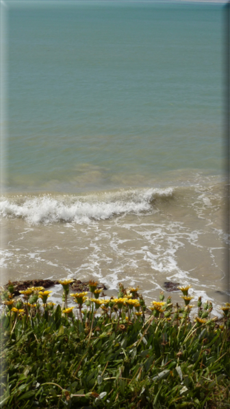foto Granite Island